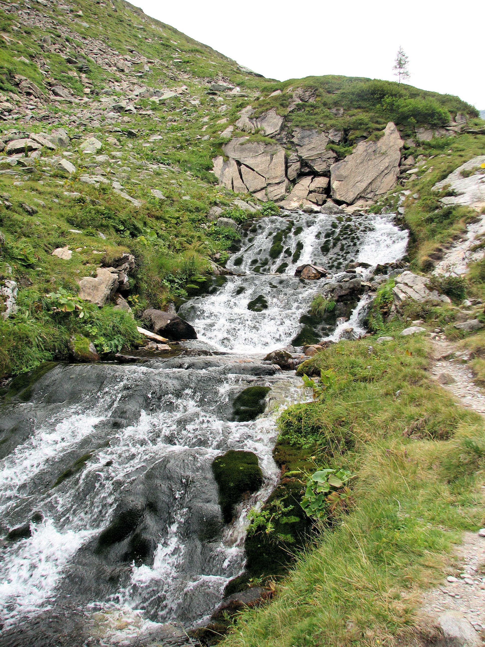 Simbol