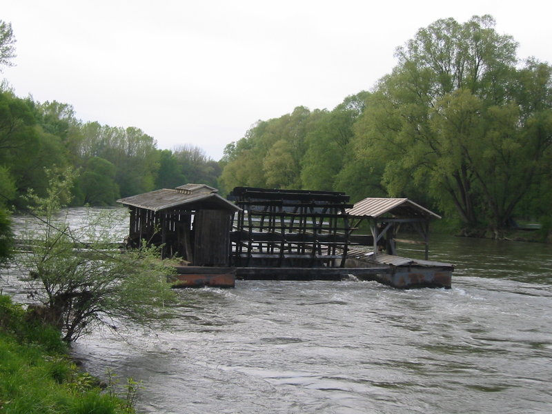 Mura
